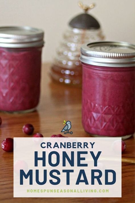 Make and can your own cranberry honey mustard. Use this delicious and easy recipe for delicious leftover turkey sandwiches, and to elevate homemade grilled cheese. #canning #homemaderecipes #fromscratch Honey Mustard Sauce Recipe, Cranberry Honey, Homemade Grilled Cheese, Cranberry Mustard, Honey Mustard Recipes, Homemade Mustard, Turkey Cutlets, Mustard Recipe, Grilled Turkey