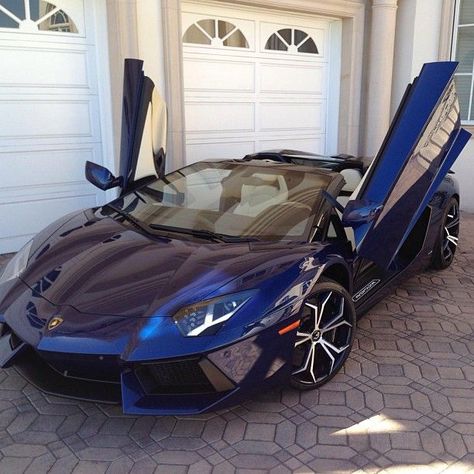 Totally Awesome Royal Blue Lambo Not into cars but this is FIRE! Blue fire at that!!! Blue Lamborghini, Lamborghini Aventador Roadster, Lamborghini Cars, Sweet Cars, Best Luxury Cars, Lamborghini Aventador, Sports Cars Luxury, Amazing Cars