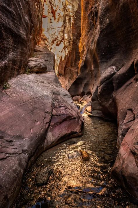 Explore stunning Kanarra Falls photos capturing the natural beauty of Utah's slot canyons. Engross yourself in visual wonders today. Book Now! Slot Canyons, Slot Canyon, Fall Photos, The Natural, Utah, Natural Beauty, Website Design, Photo Galleries, Wonder