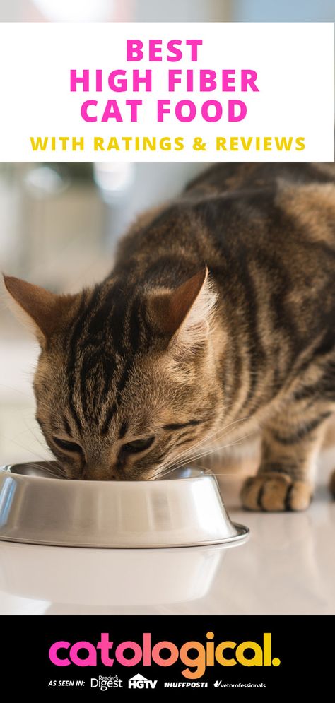 Does your cat suffer from gastrointestinal problems like constipation or diarrhea? While a better food overall may make a huge difference, sometimes you can use a high fiber food to help sort out her poor tummy. We reviewed the best high fiber cat foods in this article. #cat #cats #kitten #kittens #catfood #highfiber #fiber #highfibercatfood #bestcatfood Healthy Cat Food, Homemade Cat Food, Cat Food Brands, Cat Diet, Best Cat Food, Cat Nutrition, Kitten Food, Cat Ideas, Healthy Cat