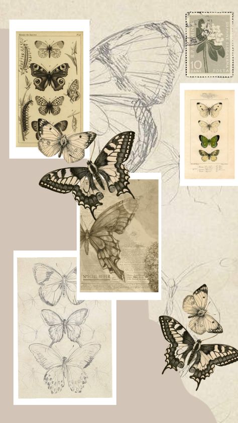 Evolution Aesthetic Art, Insect Collage Art, Insect Gcse Art, Butterfly Gcse Art Book, Butterfly Anatomy Aesthetic, Gcse Art Flight Theme, Gcse Butterfly Art, Gcse Art Butterflies, Butterfly Anatomy Drawing