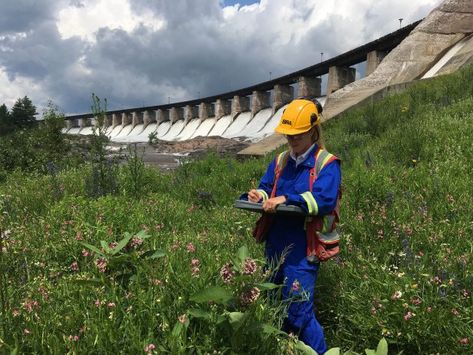 Science Girl, Biology Resources, Career Motivation, Land Use, Invasive Species, Water Resources, Future Career, Ecosystem, Natural Environment