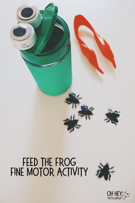 Frog Activities For Toddlers, Reptiles Activities, Pond Life Theme, Frogs Preschool, Rainforest Activities, Speckled Frogs, Frog Activities, Bug Activities, Insect Activities