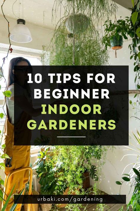 Many of us love gardens, although not all of us have the possibility of having a large garden outside the home, so we must resort to small interior gardens, which are just as beautiful and easier to maintain than a large garden. That's why we want to bring you 10 tips for indoor gardens to help you improve your space, make your work easier and, if possible, save a little money along the way! Remember to adapt each advice to your space or to the design need you have in your garden. Indoor Winter Garden, Grow Food Indoors, Planting For Beginners, Indoor Vegetables, Herb Garden In Kitchen, Inside Garden, Aquaponic Gardening, Garden For Beginners, Food Gardening