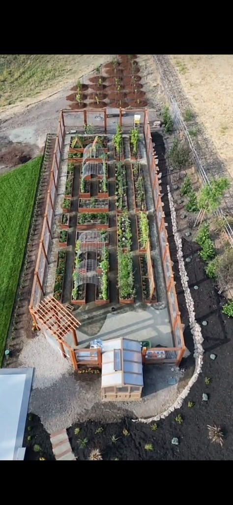 Inground Garden, Yard Ideas For Dogs, Yard Ideas Backyard, Farm Plans, Seni Dan Kraf, Backyard Greenhouse, Starting A Garden, Backyard Farming, Greenhouse Gardening