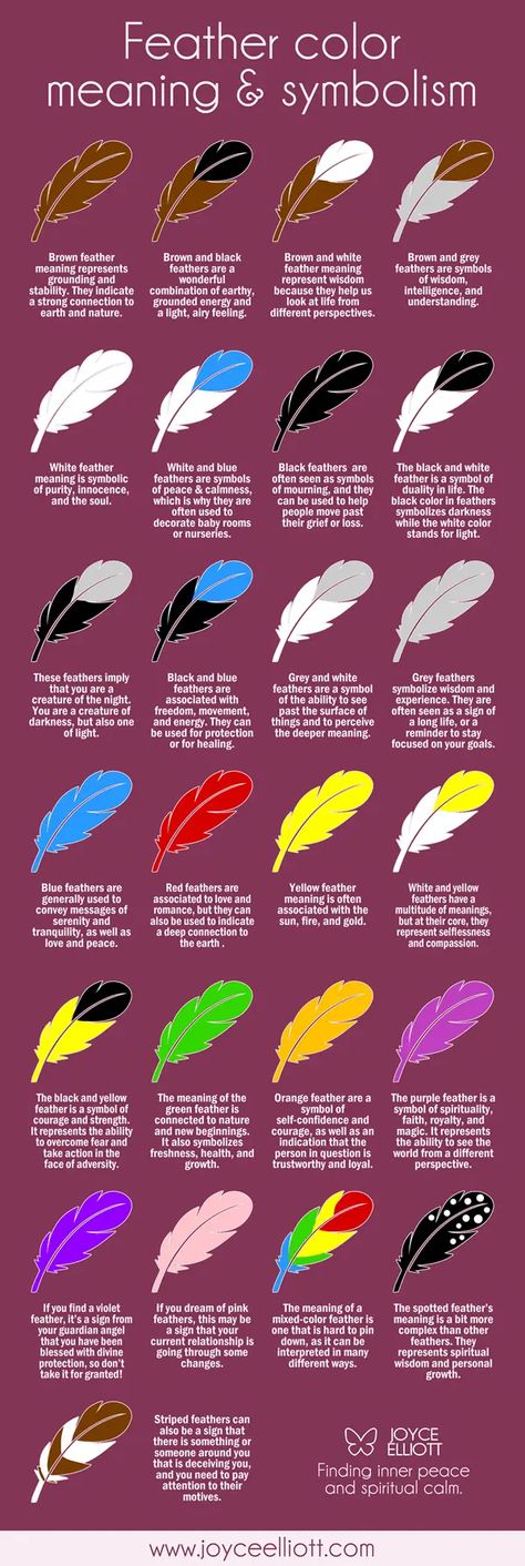 Feather Colour Meaning, Feather Color Meaning Spiritual, Red Feather Meaning, Black Feather Meaning, Feather Color Meaning, Feather Identification, Finding Feathers, Feather Symbolism, Feather Meaning