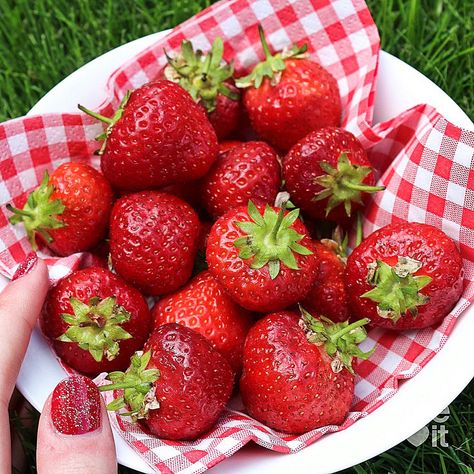 Strawberry Fields Forever, Strawberry Fruit, Cute Strawberry, Strawberry Fields, Red Strawberry, Strawberry Milk, Strawberry Shortcake, Cute Food, Red Nails