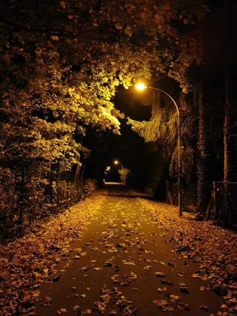 Dark Autumn Aesthetic Wallpaper, Nocturnal Photography, Halloween Night Aesthetic, Streetlight Aesthetic, Late Night Pics, Night Walks, Night Background, Night Scenery, Dark Autumn