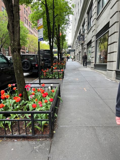 Sidewalk Reference, New York Sidewalk, Sidewalk Landscape, Sidewalk Background, Street Sidewalk, Sidewalk Landscaping, City Sidewalk, Streetscape Design, City Flowers