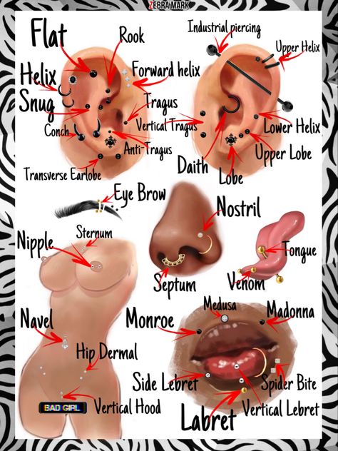 Ear chart guide Piercing Diagram, Ear Piercing Diagram, Piercings Chart, Cute Nose Piercings, Ear Piercings Chart, Piercing Chart, Types Of Ear Piercings, Cool Ear Piercings, Pretty Ear Piercings