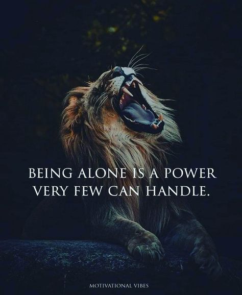 Lioness Quotes, They Will Come Back, Inspirational Animal Quotes, New Year Motivational Quotes, Lone Wolf Quotes, Fierce Quotes, Winning Quotes, High And Dry, Lion Quotes