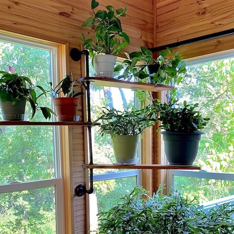 Swivel Shelf, Black Pipe Shelf, Corner Plant Shelf, Window Plant Shelf, Corner Plant, Window Plants, Window Shelves, Industrial Pipe Shelves, Garden Shelves