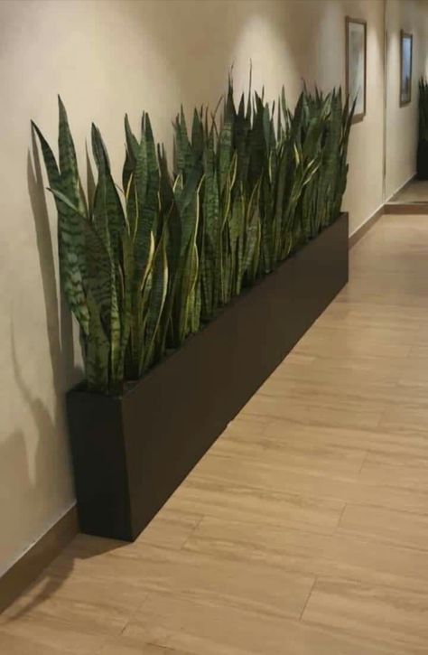 Modern Entryway Decor, Indoor Plants Styling, Indoor Plant Wall, Living Room Ideas Farmhouse, Outdoor Kitchen Design Layout, Modern Entryway, Dekor Diy, Plant Decor Indoor, Home Entrance Decor