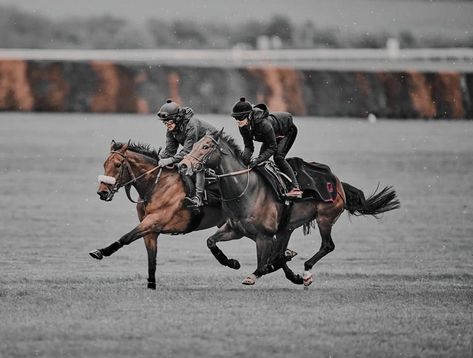 Horse Racing Photography, Jockey Aesthetic, Horsey Life, Racing Horse, Faster Horses, Horse Story, Race Photography, Eventing Horses, Thoroughbred Horse Racing