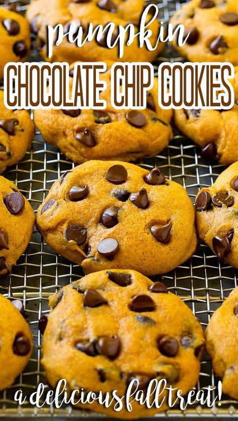 Pumpkin Cake Mix Cookies, Pumpkin Cake Mix, Halloween Cookie Recipes, Cheesecake Oreo, Pumpkin Cookie Recipe, Pumpkin Chocolate Chip, Pumpkin Chocolate Chip Cookies, Pumpkin Chocolate Chips, Chip Cookie Recipe