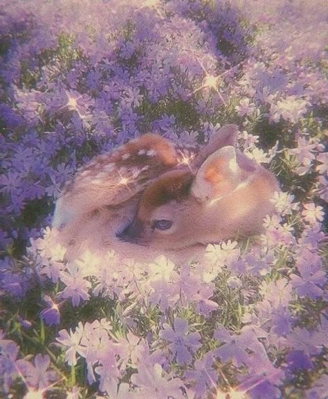 Purple Cottagecore, Violet Aesthetic, Fairycore Aesthetic, Lavender Aesthetic, Aesthetic Cottagecore, Lavender Sage, Fairy Aesthetic, Fantasy Films, Cottagecore Aesthetic