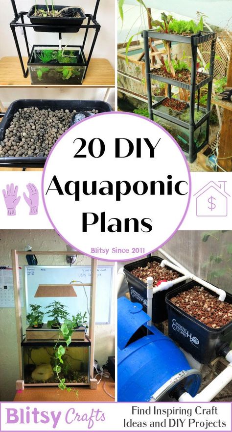 Vertical Hydroponic Gardening Diy, Diy Aeroponics, Diy Hydroponics System, Hydro Garden, Hydroponic Fish Tank, Fish Tank Aquaponics, Best Fish For Aquaponics, Bell Siphon, Hydroponic Gardening Diy