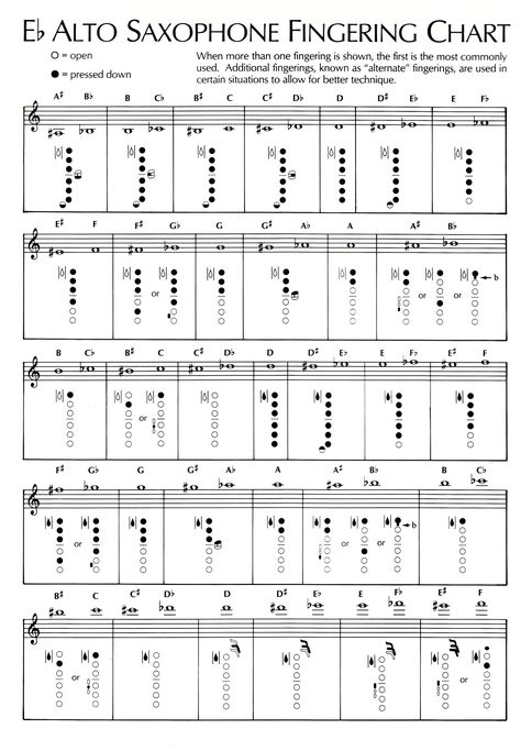 Just in case I ever forget how to play my sax... Ha!! Yeah right!! Alto Saxophone Fingering Chart, Saxophone Notes, Alto Saxophone Music, Saxophone Fingering Chart, Alto Sax Sheet Music, Alto Saxophone Sheet Music, Saxophone Music, Saxophone Sheet Music, Music Practice