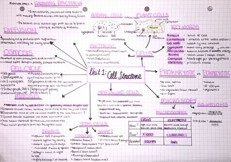 AQA GCSE Biology  Unit 1:- Cell Structure  Mind Map #study #mindmap #biology #school #pastel #revision Gcse Cell Biology Revision, Chemistry Gcse Mindmaps, Cell Biology Mind Map, Mind Map Study Ideas, Study Mind Maps Ideas, Science Mind Map Ideas, Mind Map Notes Ideas, Biology Unit 1 Notes, Cell The Unit Of Life Mind Map