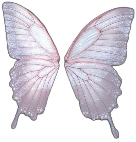 Wings Png, Most Popular Flowers, Popular Flowers, Fairy Wings, Butterfly Art, Color Pallets, Butterfly Wings, Paper Dolls, Cute Stickers