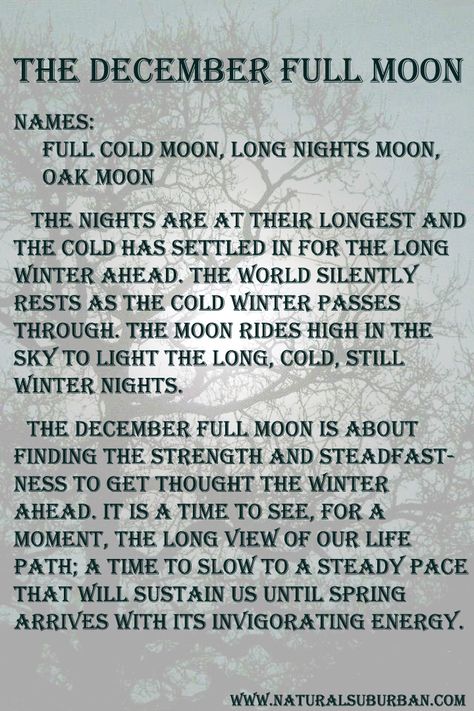 A look at December's full moon from a personal perspective. Waldorf Daycare, Moon Months, Elemental Spirits, December Full Moon, Moon Watching, Pagan Moon, Full Moon Names, Moon Oil, Moon Meaning