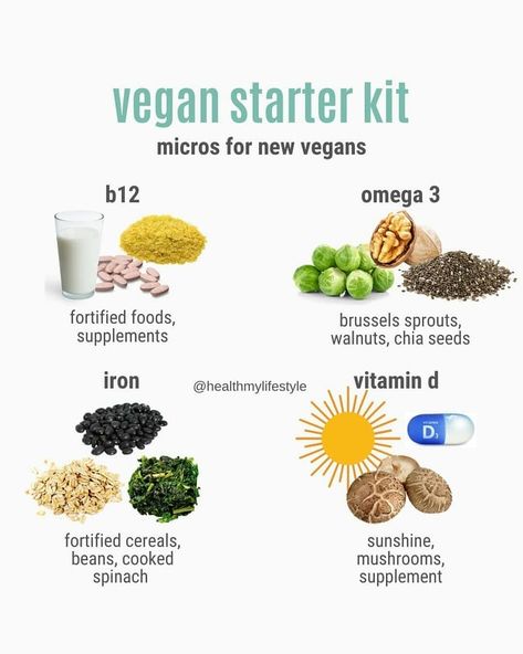 Fortified Foods, Vegan B12, Vegan Starter, See Food, Plant Based Diet Meal Plan, Fortified Cereals, Vegan Starters, Quick Easy Vegan, Plant Milk