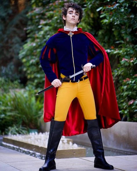 Snow White Prince Costume, Snow White Cosplay, Snow White Prince, Prince Costume, Snow White And The Seven Dwarfs, Disney Halloween, Disney Pictures, Mens Costumes, Costume Design