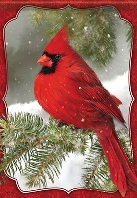 Cardinal Birds Art, Cardinal Painting, Winter Cardinal, Christmas Blessings, Winter Bird, Christmas Bird, Cardinal Birds, Red Cardinal, Christmas Scenes