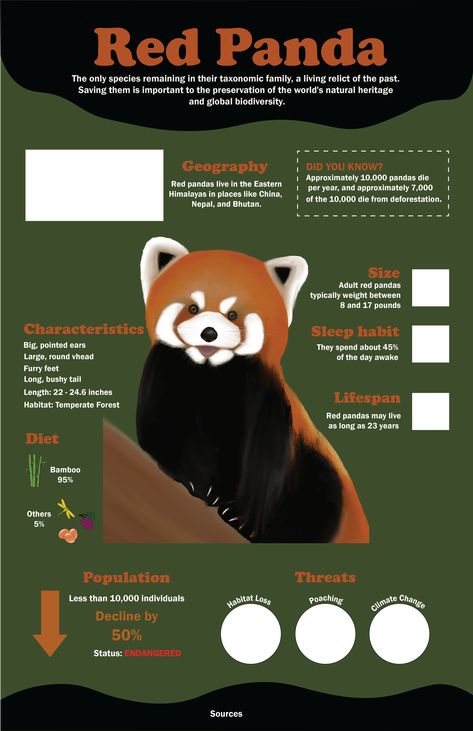 Animal Signs, Reading Comprehension For Kids, Animals Information, Red Pandas, Infographic Poster, Natural Heritage, Pet Signs, Reading Comprehension Worksheets, Marine Biology