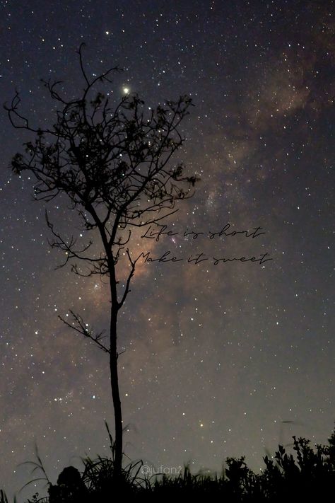 Milky way behind the dry tree in Selo Boyolali yesterday night. Dry Tree, Sky Tree, Life Is Short, Milky Way, Pretty Flowers, Night Sky, Night Skies, Life Is, Make It