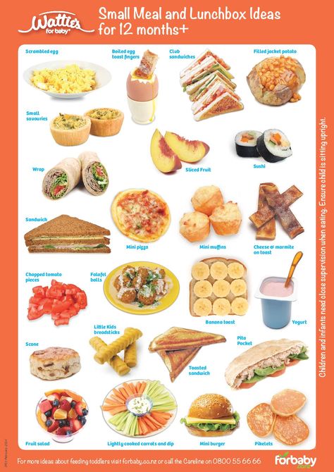 Small Meals 12+ months Fingerfood Baby, Finger Food Ideas, Toddler Finger Foods, Toddler Nutrition, Easy Toddler Meals, Weaning Recipes, Toddler Lunches, Baby Finger Foods, Healthy Toddler Meals