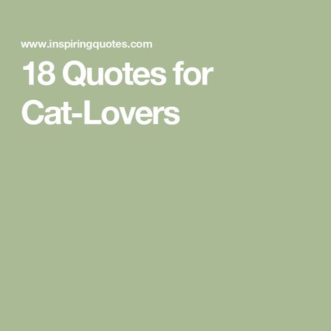 18 Quotes for Cat-Lovers Cat Sayings Quotes, Cat Person Quotes, Cat Lovers Quotes, Pet Quotes Cat, Quotes About Cats, Judge Quotes, Kitten Quotes, Cat Sayings, Funny Cat Quotes