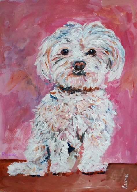 Maltese Painting Acrylic, How To Paint A Maltese Dog, Poodle Painting Acrylic, Maltese Painting, Maltese Art, Pet Drawings, Maltese Poodle, Room Styles, Cute Paintings