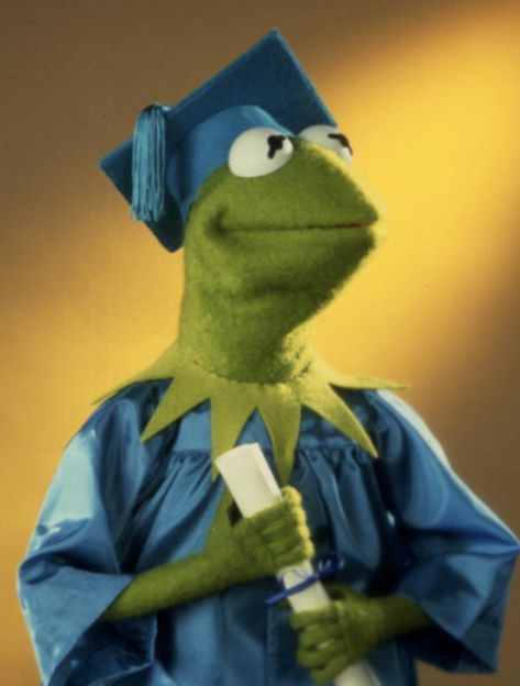 Sapo Kermit, Kermit Meme, Kermit Funny, Frog Wallpaper, The Muppet Show, Kermit The Frog, Wall Papers, Reaction Pics, 웃긴 사진