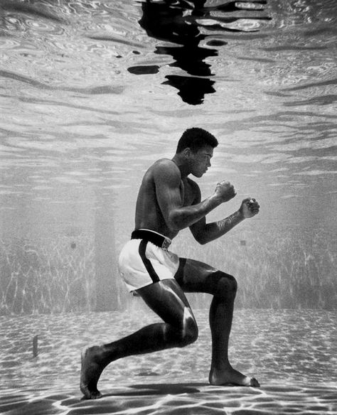 Muhammad Ali training in a pool at the Sir John Hotel, Miami, 1961. Muhammad Ali Boxing, Laila Ali, Mohammed Ali, Impossible Dream, Boxing Champions, Sport Inspiration, Alicia Keys, Muhammad Ali, Black Culture