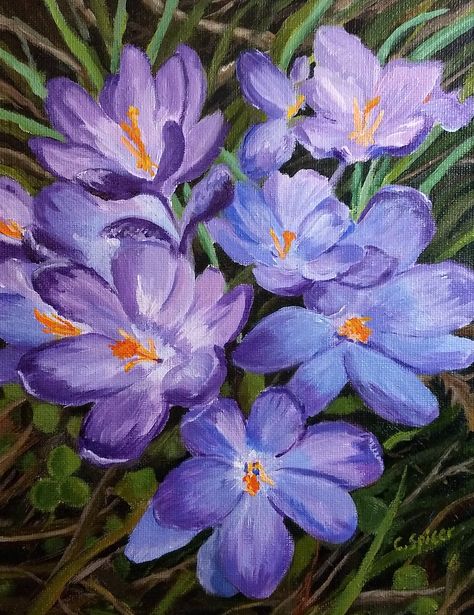 Ladies Paint Night, Poison Plants, Spring Flower Art, Spring Crocus, Blind Contour, Paint Night Ideas, Water Colour Art, Crocus Flower, Chalk Pastel