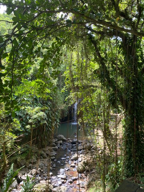 Grenada Caribbean Aesthetic, Caribbean Culture Aesthetic, Grenada Aesthetic, Grenada Vacation, Tropical Island Aesthetic, Reflection Aesthetic, 2025 Rebrand, Caribbean Aesthetic, Caribbean Summer