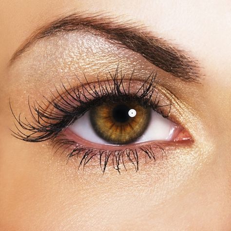 Pink and gold eye makeup Latisse Eyelashes, Thick Brows, Beautiful Brown Eyes, Makeup Shades, Fresh Makeup, Spring Makeup, Gold Flecks, Yes Or No, Hazel Eyes