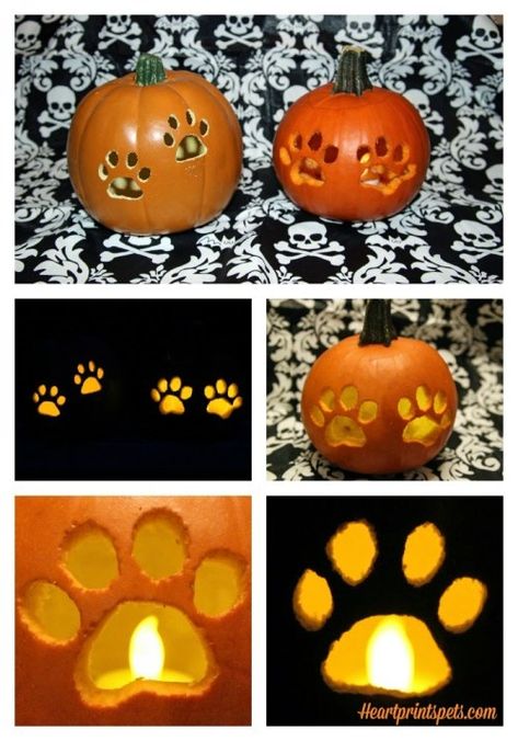 DIY Paw Print Pumpkin Fall Decor - Heartprints Pets Pumpkin Carving Dog, Paw Print Pumpkin, Diy Paw Print, Paw Print Crafts, Paw Print Art, Cute Pumpkin Carving, Creative Pumpkin Carving, Amazing Pumpkin Carving, Easy Pumpkin Carving