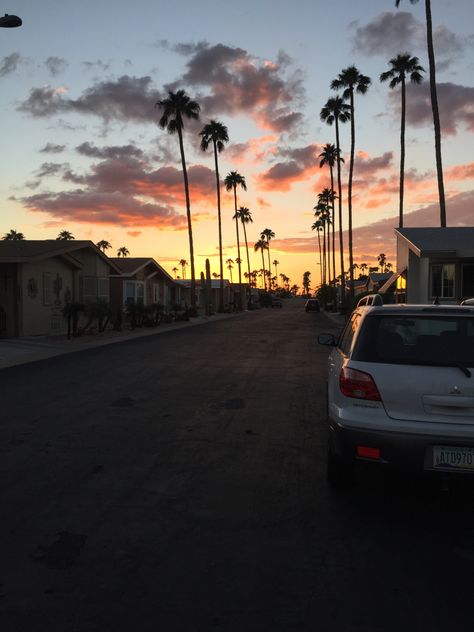 Arizona Lifestyle Aesthetic, Arizona Palm Trees, Arizona At Night, Arizona Sunset Wallpaper, Mesa Arizona, Sunset Arizona Aesthetic, Arizona Sunrise Photography, Arizona Aesthetic, Arizona Photography