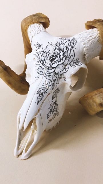 Animal Skull Art Painting, Painted Bones Art, Carved Deer Skull, Painted Skull Ideas, Cow Skull Painting Ideas, Hog Skull, Bone Cabinet, Skull Engraving, European Mounts