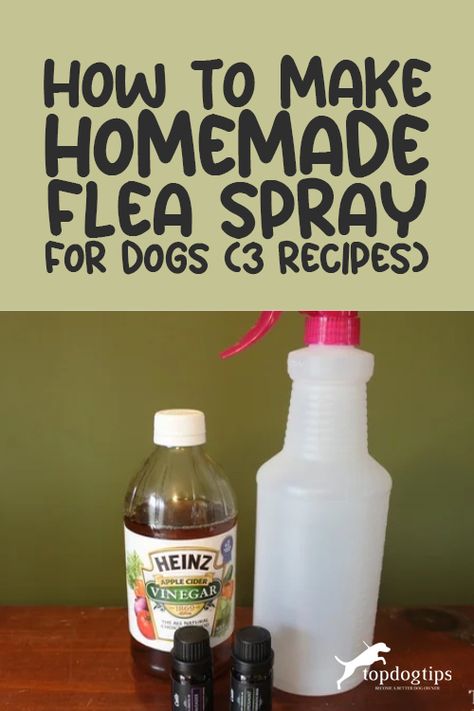 I've been using DIY flea sprays for dogs for years now. Learning how to make homemade flea spray for dogs can help you save money and reduce your pet's exposure to harmful chemicals. Here are three DIY homemade flea sprays for dogs recipes that are all-natural and 100% safe for pets! Natural Pet Flea Repellent, Diy Flea Spray For Dogs Essential Oils, Natural Tick Spray For Dogs, Natural Flea Shampoo For Dogs, Apple Cider Vinegar Flea Spray, Dog Flea Remedies Diy, Flee Spray Diy, Diy Flea And Tick Shampoo For Dogs, Flea Spray For Dogs Essential Oils