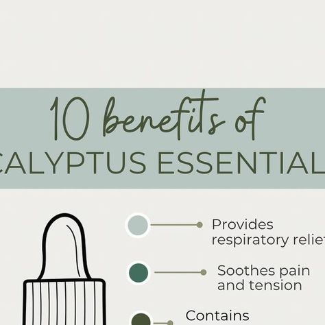 Holly | Essential Oil Education on Instagram: "‘Tis the season!🌿 Eucalyptus is one of those oils I’m always thankful that I have it when I need it! I often get asked about the differences in eucalyptus types. Swipe left for all the differences, benefits , ways to use and my favorite recipes. My two favorite types of Eucalyptus essential oils are Globulus and Radiata. If I’m making an aromatic diffuser blend or inhaler blend I prefer Radiata. If I’m wanting sinus relief I prefer the more earthy globulus. Safety: Due to the high 1,8 cineole constituent in some varieties of eucalyptus (Eucalyptus Radiata and Globulus) there is caution to be used around young children. It can be used safely, if used appropriately. For ages 3 and under, it can be diffused or applied topically up to 0.5% di Eucalyptus Types, Types Of Eucalyptus, Eucalyptus Radiata, Essential Oil Education, Sinus Relief, Essential Oils Guide, Chest Congestion, My Favorite Recipes, Diffuser Blend