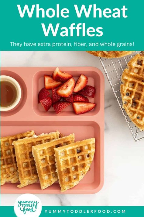 Vanilla Whole Wheat Waffles Baby Breakfast Ideas, Breakfast Recipes For Kids, Savory Waffle Recipe, Wheat Waffles, Breakfast Ideas Easy, Whole Wheat Waffles, Pink Plate, Baby Breakfast, Banana Waffles