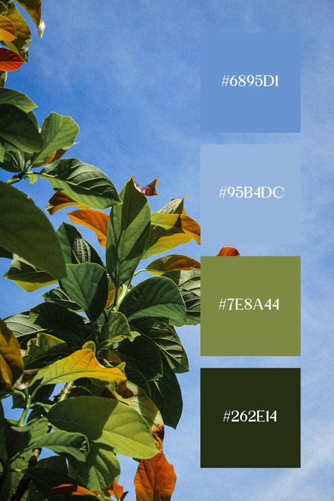 This green blue palette features vibrant green leaves with a backdrop of a clear blue sky, highlighting the contrast between nature and the open air. Color Scheme Generator, Color Generator, Colour Pallets, Blue Color Palette, Blue Palette, Color Picker, Green Colour Palette, Palette Color, Clear Blue Sky