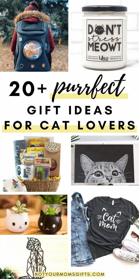 Gifts For The Cat Lover, Cat Mom Gift Ideas, Gifts For Cat Dad, Cat Themed Gift Basket, Cat Christmas Gifts Diy, Diy Cat Gifts For People, Cat Gift Basket Ideas, Christmas Gifts For Cat Lovers, Gifts For Cat Owners