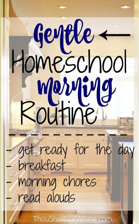 Homeschool Morning Routine, Morning Baskets, Homeschool Portfolio, Easy Routine, Movie 43, Routine Schedule, Class Dismissed, Toddler Parenting, Morning Basket