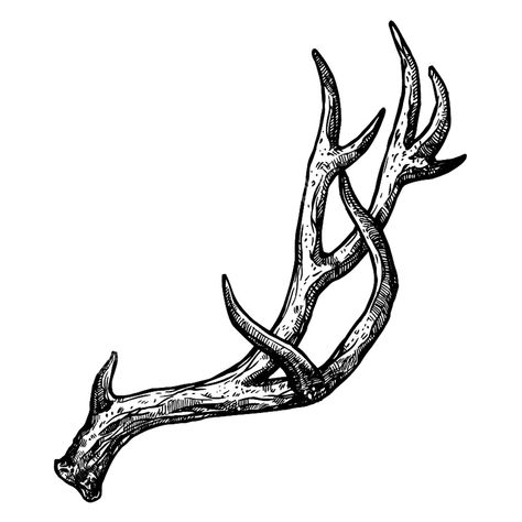 Deer Horn Tattoo Deer Horn Tattoo, Deer Antler Tattoo, Antler Drawing, Horn Tattoo, Antler Tattoos, Antler Tattoo, Wrist Tattoo Designs, Medieval Tattoo, Western Tattoos