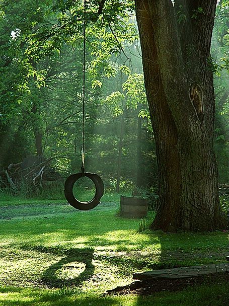 Come Swing In The Sunshine With Me! ☺. Happy childhood memories. Something I want for my own kids. Tire Swings, Tire Swing, Tree Swing, Old Tires, Good Year, Farms Living, Down On The Farm, Country Farm, Country Life