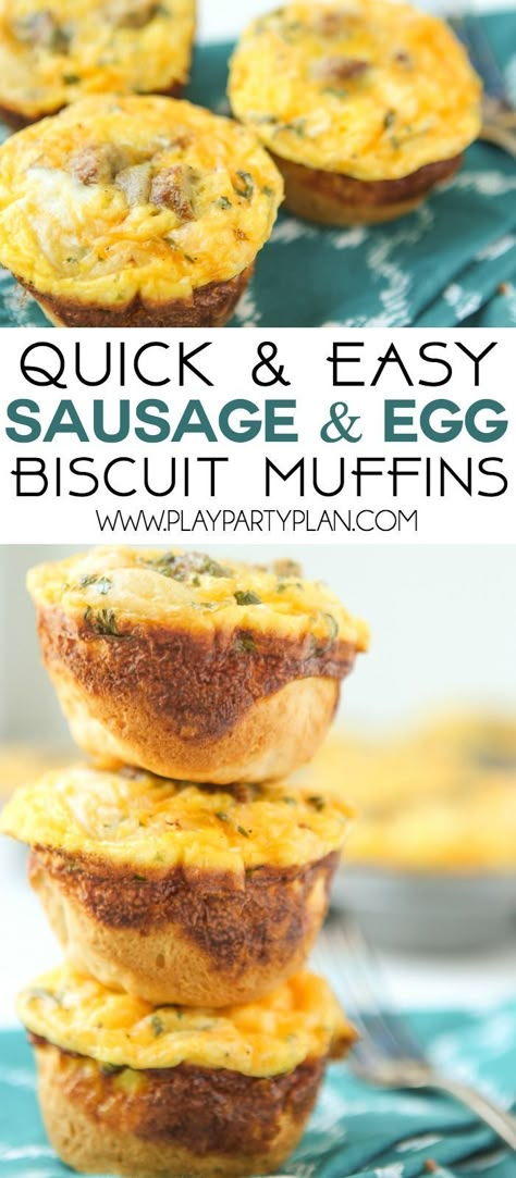 Egg Biscuit Muffins, Biscuit Muffins, Breakfast Cups Recipe, Sausage Egg Muffins, Muffin Cups Recipes, Egg Muffin Cups, Sausage Muffins, Egg Muffins Recipe, Egg Muffins Breakfast